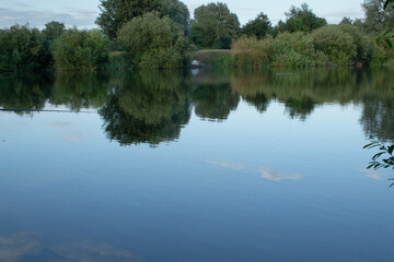 reflection of trees in the lake