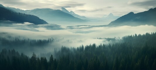 Fototapeta premium Amazing mystical rising fog forest trees mountain peak landscape panorama banner - Valley view of mountains (Generative Ai)