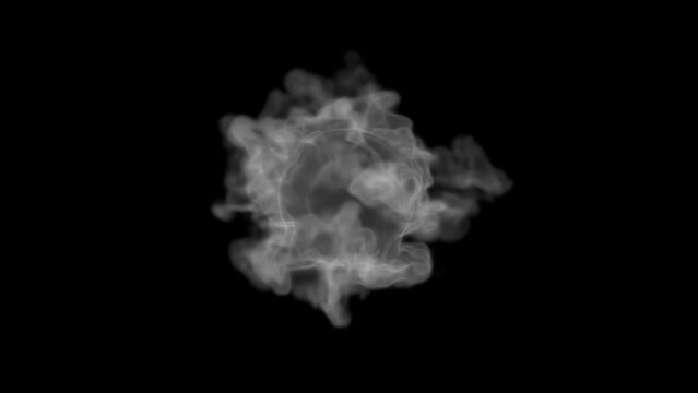 3D animation of gray smoke. Smoke rises and fills the space. Fog, white and gray smoke background. 