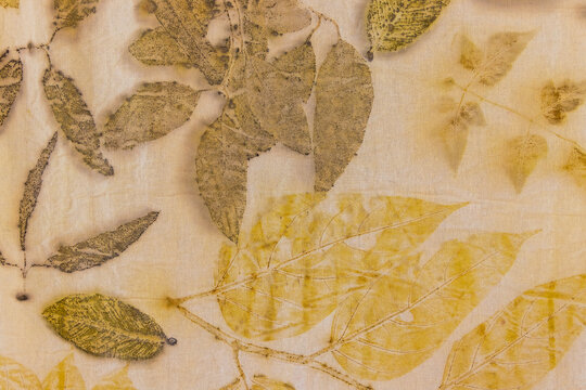 Fragment of hand-dyed fabric using eco-print technique for background and texture.