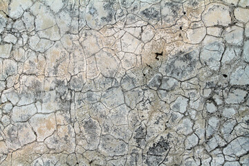 the walls are damaged, worn, cracked and moldy due to the weather
