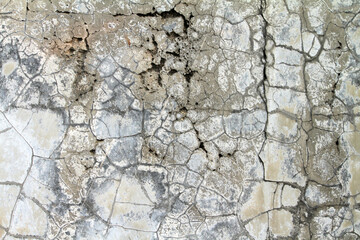 the wall is damaged with spots due to water seepage, the paint is peeling off
