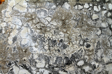 the walls are damaged, worn, cracked and moldy due to the weather
