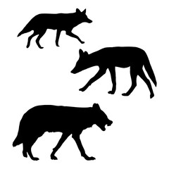 vector silhouette of a wolf, symbol or sign