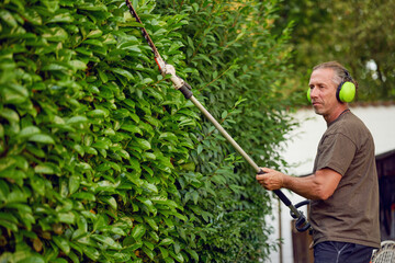 Gardener trimming a hedgerow using a hedge trimmer in the garden of a customer with earmuffs on for...