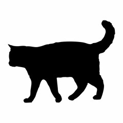 Vector isolated cat silhouette, logo, print, decorative sticker