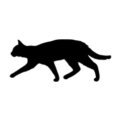 Vector isolated cat silhouette, logo, print, decorative sticker