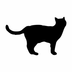 Vector isolated cat silhouette, logo, print, decorative sticker