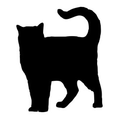 Vector isolated cat silhouette, logo, print, decorative sticker