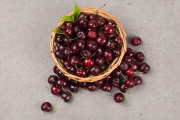 
A perennial plant with woody stems or branches.