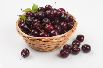 
A perennial plant with woody stems or branches.