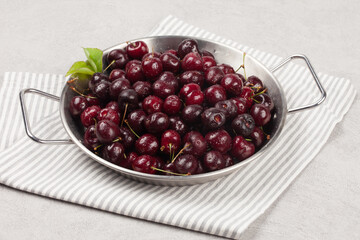 
A perennial plant with woody stems or branches.