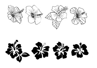 set of simple hand drawn of hibiscus flower in black and white, isolated in white © Sigit Dwi Pambudi