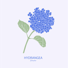 Hydrangea. Logo. Trendy botanical elements. Hand drawn line leaves and flowers. Hydrangea, flower, hydrangeas, floral illustration, blossom, bloom