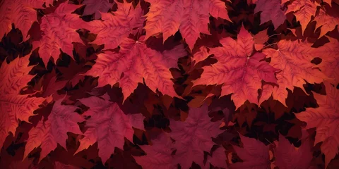 Fototapete Bordeaux Autumn background from colorful red leaves close up.