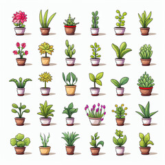 Fototapeta premium set of flowers in pots
