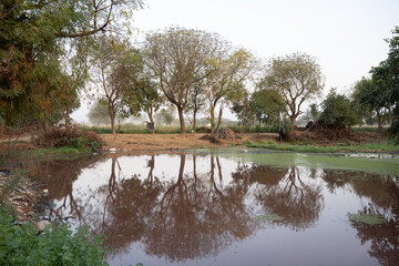 Farmlands Uttar Pradesh