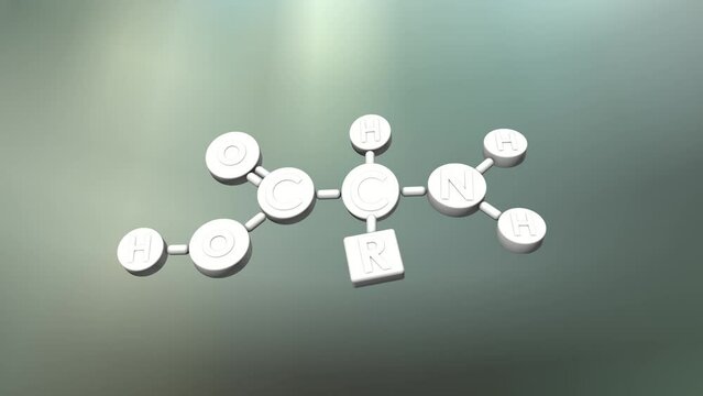 Amino Acid organic compound structure concept animation.