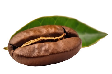 a large, up-close view of a coffee bean on a green leaf, providing a detailed look at its texture and appearance.