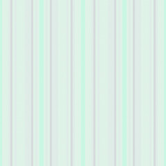 Obraz premium Pattern fabric texture of lines background vertical with a stripe seamless vector textile.