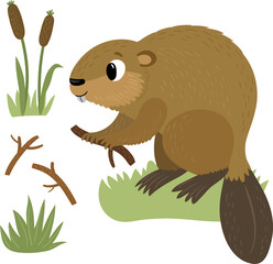 Beaver. Vector illustration isolated on white background. - 617342114