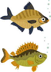 2 vector fish. Ruff fish, bream fish - 617342165