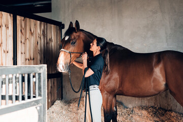 young female groom in the stable takes care of her stallion