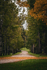avenue