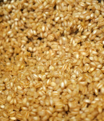 boiled wheat grains, split grains, boiled soup-boiled wheat grains,