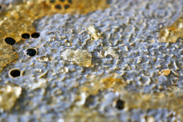 honeycomb, with its glaze surface intact, covered with honeycomb glaze cover,