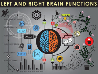 Human brain divided into Left and right brain for different functions. Creative part and logic part with social and business banners concept. Vector and Illustration, EPS 10.