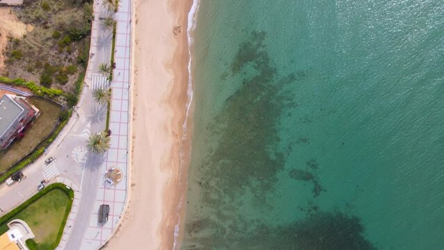 Aerial 4K drone footage of blooming Coma-Ruga in spring, showcasing vibrant trees in different stages of bloom, a picturesque display of nature's rejuvenation.