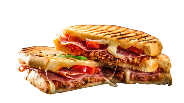 This image showcases a close-up view of a toasted sandwich on a plate, featuring several tasty ingredients such as meat, tomato, and cheese. 