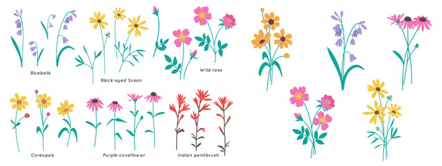 This flower clip art set includes hand-drawn wildflower elements and bouquets. Nature-inspired minimalistic and simple bundle. Vector illustration.

