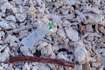 Fototapeta premium Plastic bottles on Dead coral reefs, Garbage Plastic spill are left on the beach as waste polluting nature, Plastic is hard to degrade, destroy the ecosystem, World environment day concept.