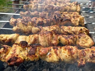 Cooking barbecue on the grill. Picnic in nature, chicken cooked on a fire, smoke from a fire. Burning coals on the grill, barbecue with meat on skewers.
