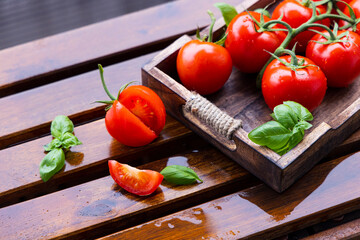 hi res Bio Tomate Salat Gemüse Holtz 