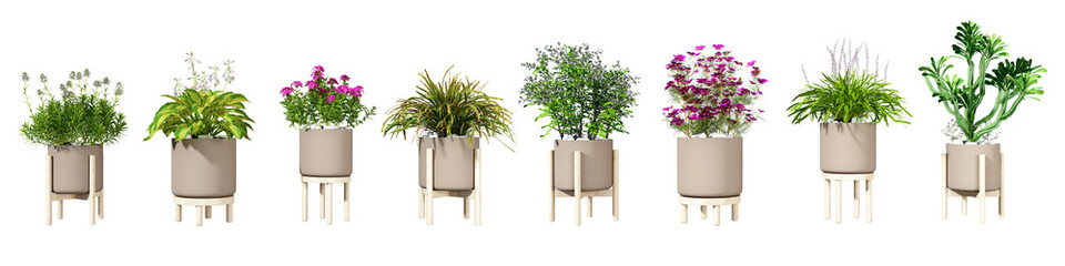 Isometric plant 3d rendering	
