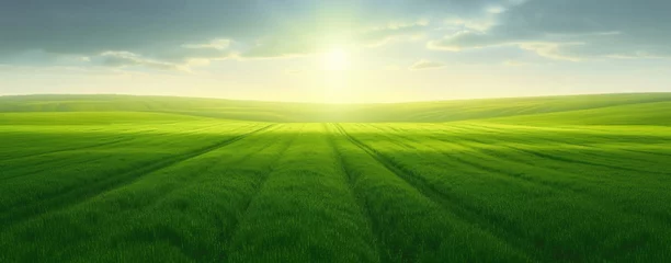 Fototapeten Wide panoramic view of green agricultural fields lit by the sun over horizon, minimalism natural background © ChaoticDesignStudio