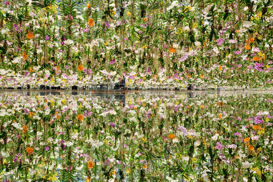 field of orchids teamlab garden
