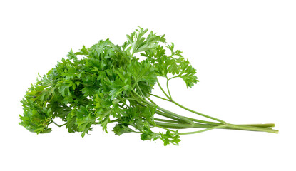 parsley on transparent png