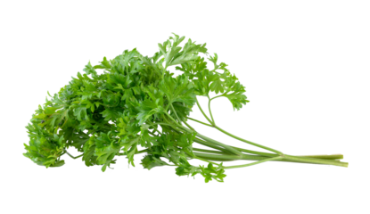 parsley on transparent png