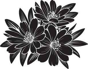 Vector Black silhouette  of hand drawn Jasmine flowers