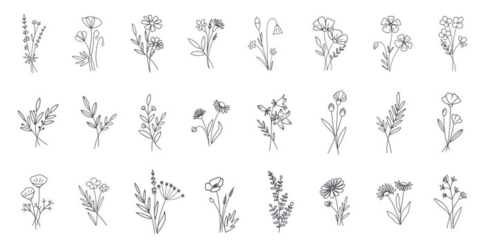 Collection of simple hand-drawn flowers, doodle leaves, branches logo