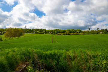 Fototapeta na wymiar Panorama of a farmer's field with blue sky and clouds