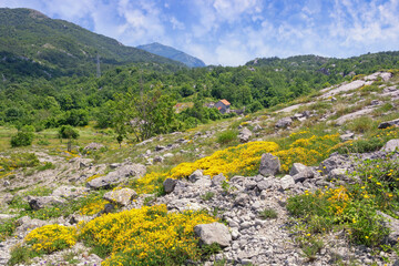 Fototapeta na wymiar Dinaric Alps, beautiful summer mountain landscape. Montenegro, Sitnica region