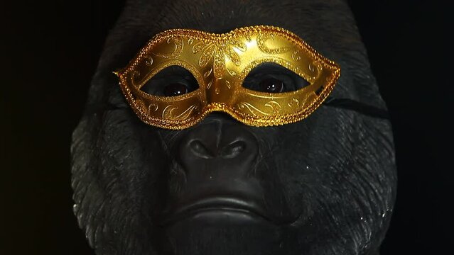 footage of gorilla mask dark background