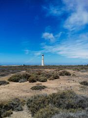 lighthouse on the beach