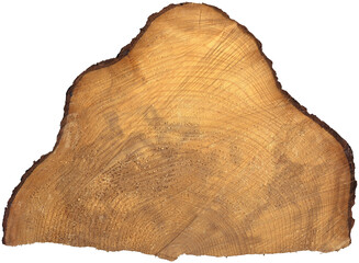 Closeup of a cross section of a tree trunk isolated on white or transparent background, high resolution, photography. Png.