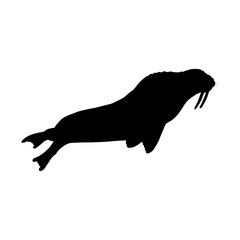 Fototapeta premium Swimming Seal Silhouette Good To Use For Element Print Book, Animal Book and Animal Content